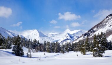 Adélie penguins (Pygoscelis adeliae) on the sea ice.