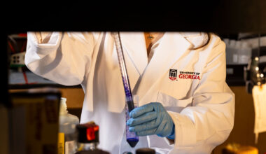 Scientists ID genetic basis for muscle formation