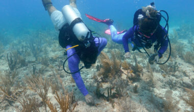 Fossil fuel pollution’s effect on oceans comes with huge costs » Yale Climate Connections