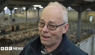 A man with grey hair and glasses speaking. He is in a large farmyard building with animals in pens behind him.