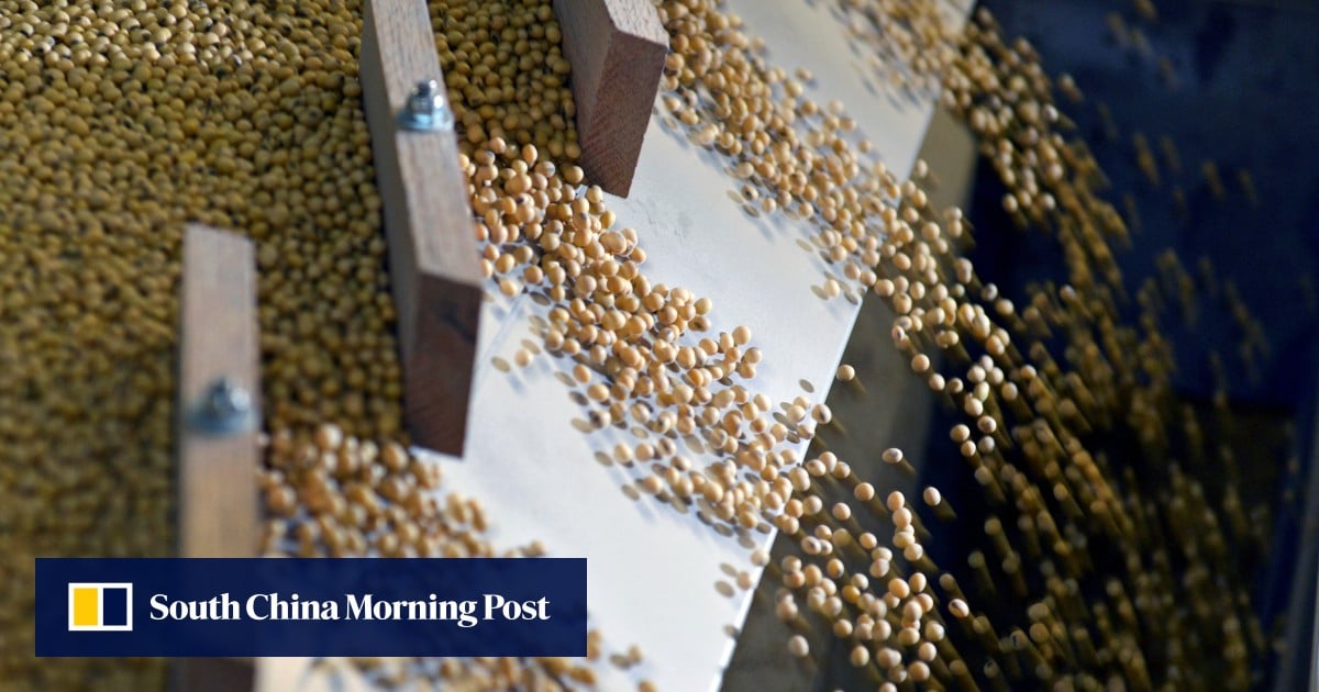 China signals strong demand for soybean imports in 2026 rural blueprint