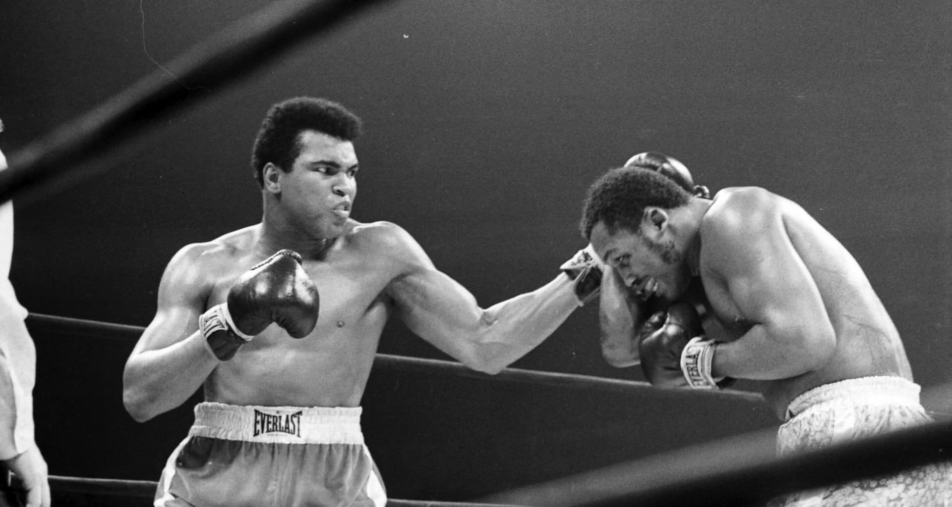 Nvidia is the GOAT – the Muhammad Ali of the stock market