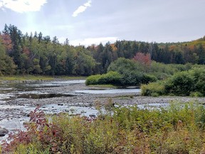Nashwaak river