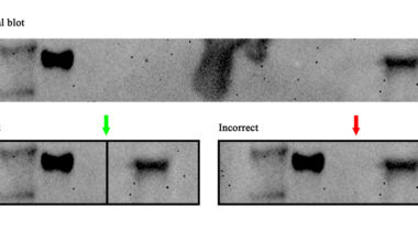 Avoiding common figure errors in manuscript submissions