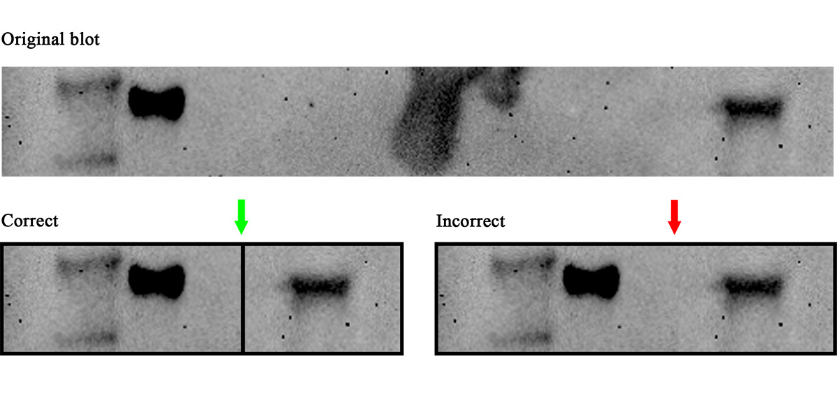 Avoiding common figure errors in manuscript submissions