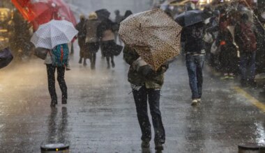 Israel weather: After a few spring-like days - rain returns for a day