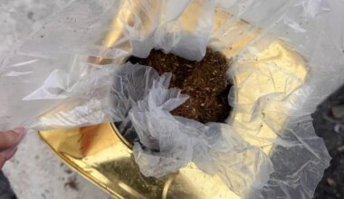 Watch: Attempt to smuggle tobacco into Gaza inside canned goods foiled