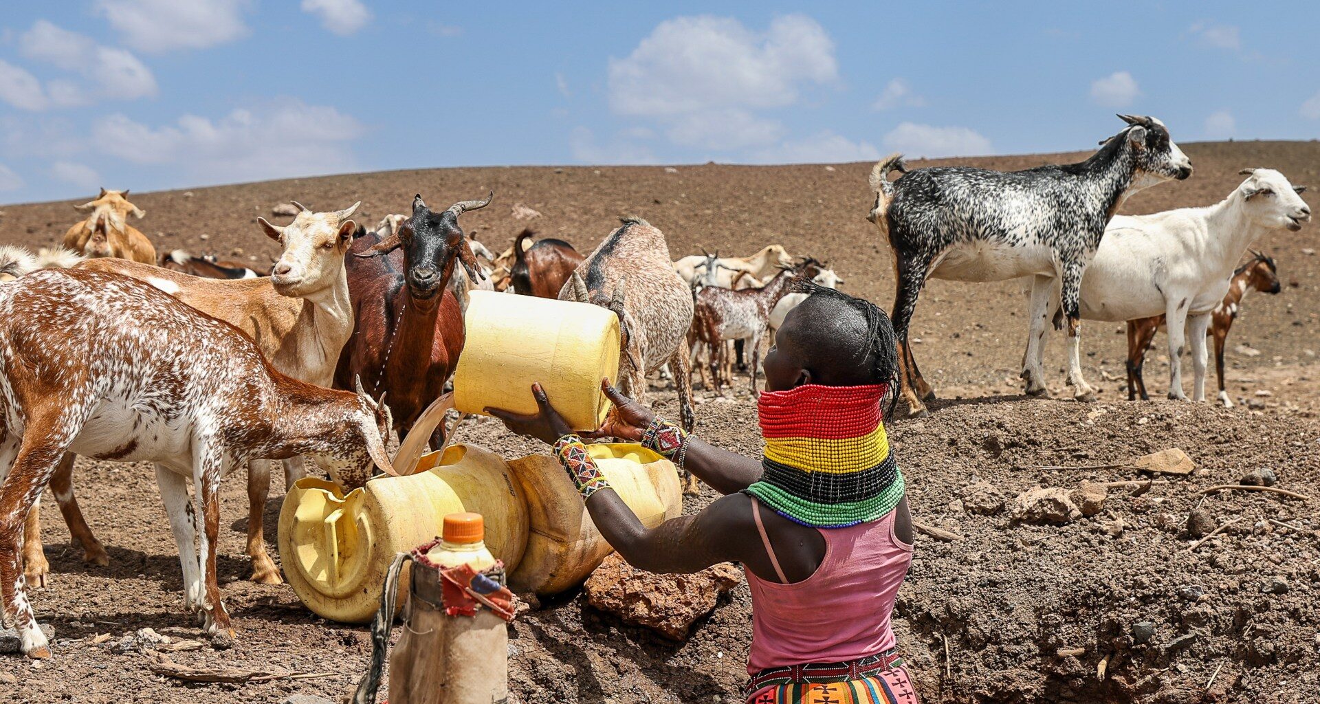 More than two million people face hunger as drought grips Kenya | Climate News
