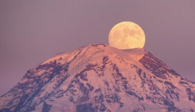 How to watch February