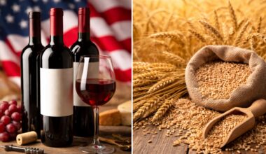 Zero Tariffs for US Wines, But Not Wheat: What’s Really in India’s Trade Deal? | US News