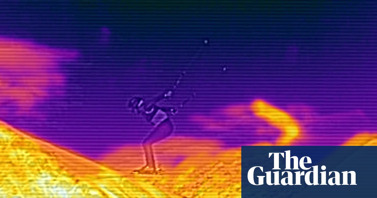 Heat seekers: amazing thermal images from the Winter Olympics | Winter Olympics 2026