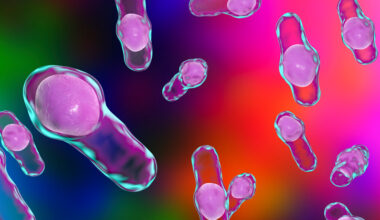 Clostridium bacteria, C. diff, illustration