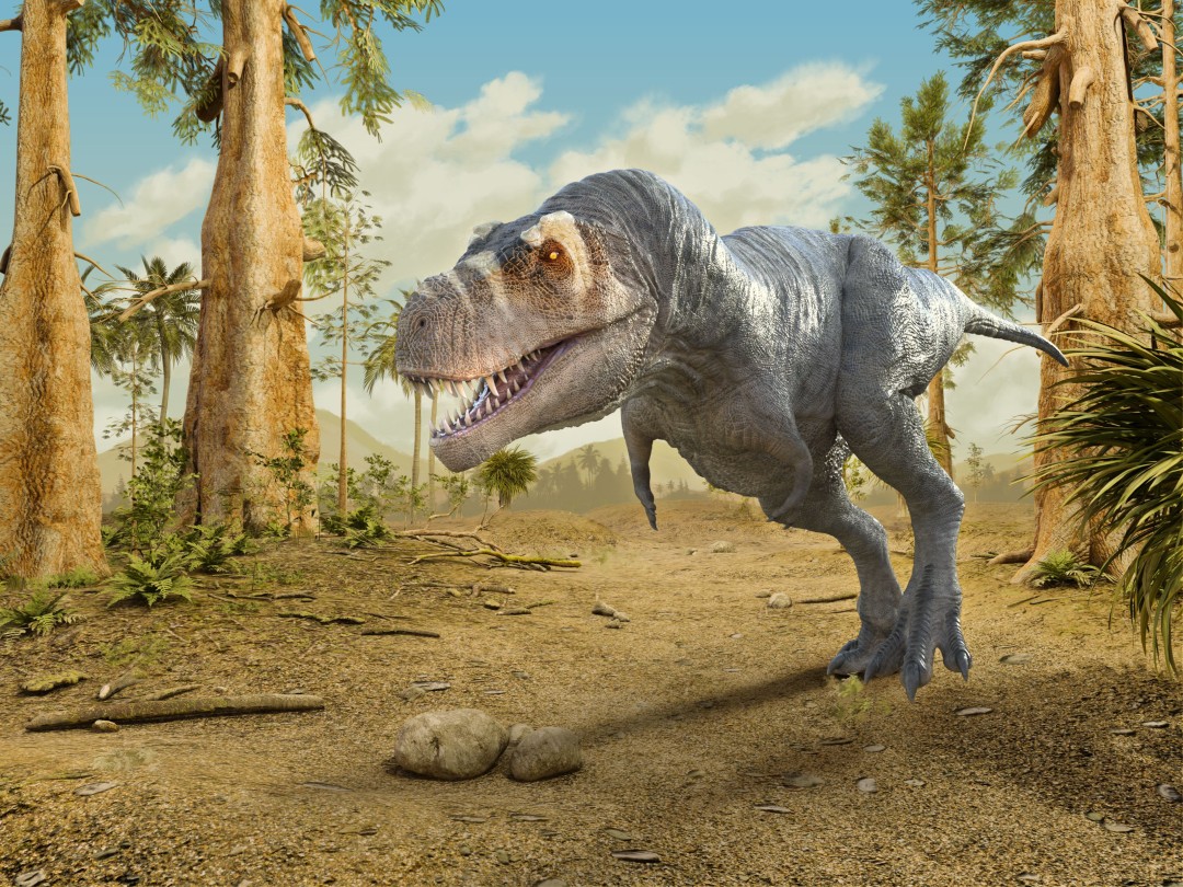 T. Rex Could Run Faster Than Usain Bolt, on Its Toes