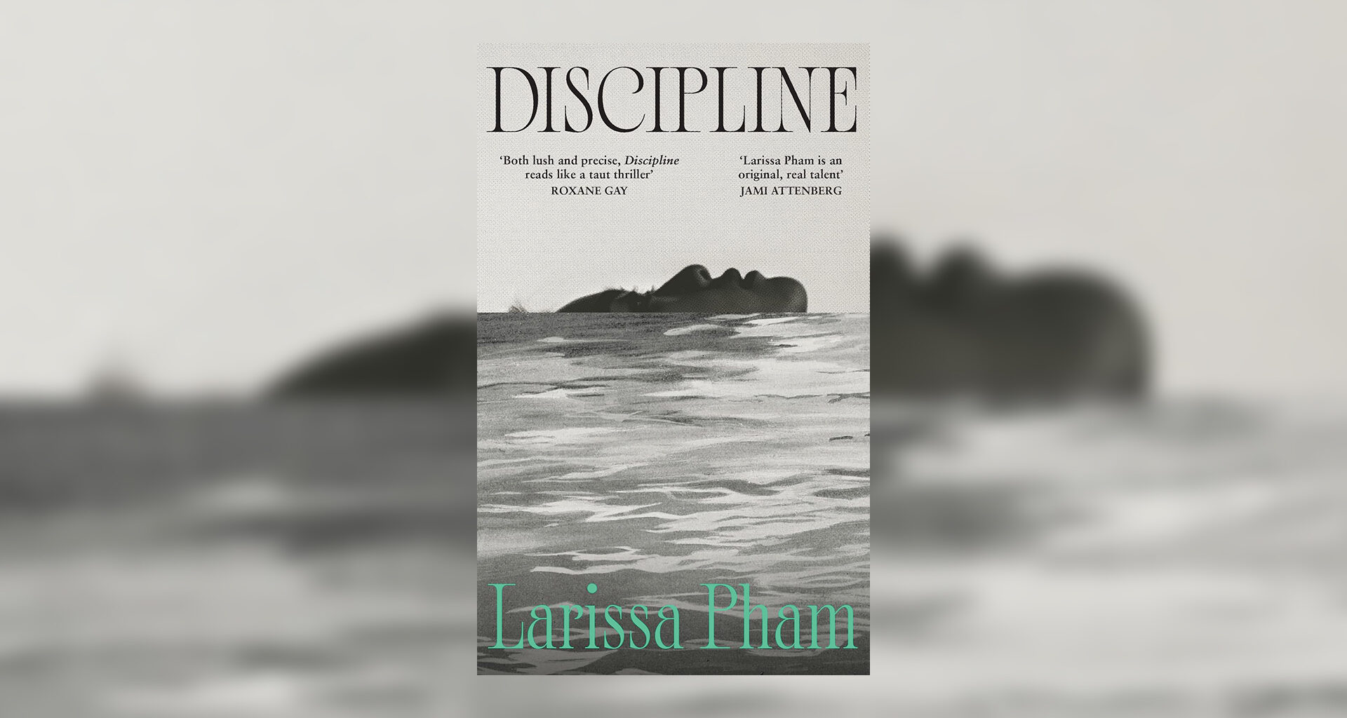 Discipline by Larissa Pham review: the past sure is tense