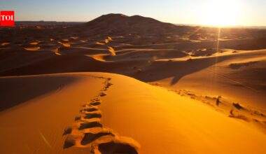 7,000-year-old mummies reveal how the world’s largest hot desert once had lakes, and forests