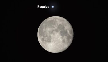 Lunar occultation Regulus February 2026