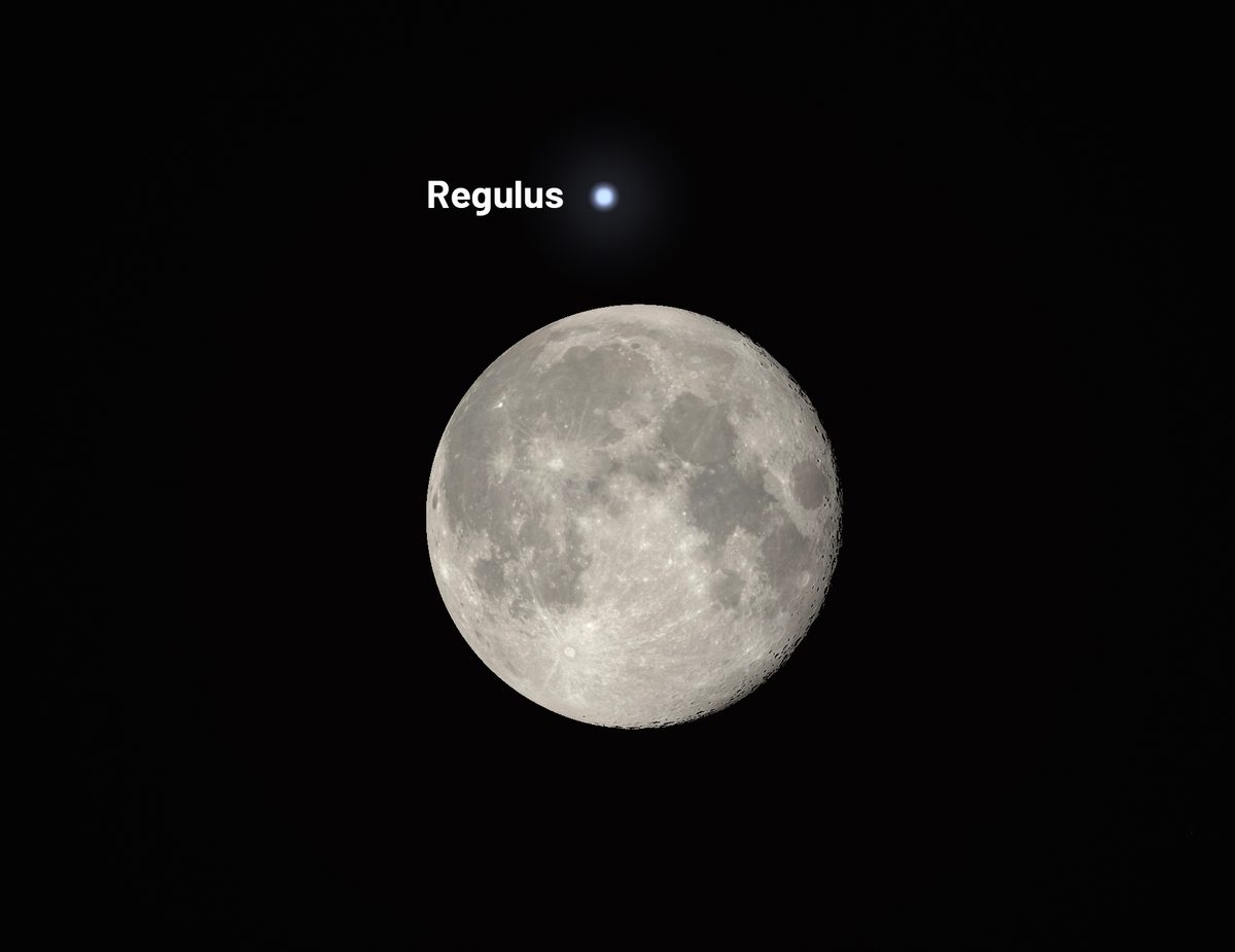 Lunar occultation Regulus February 2026