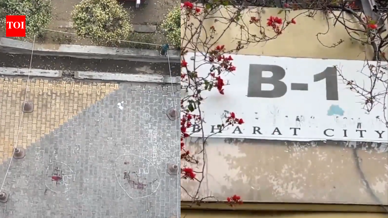 Tragic Deaths of Three Sisters Linked to Online Game in Ghaziabad | Ghaziabad News