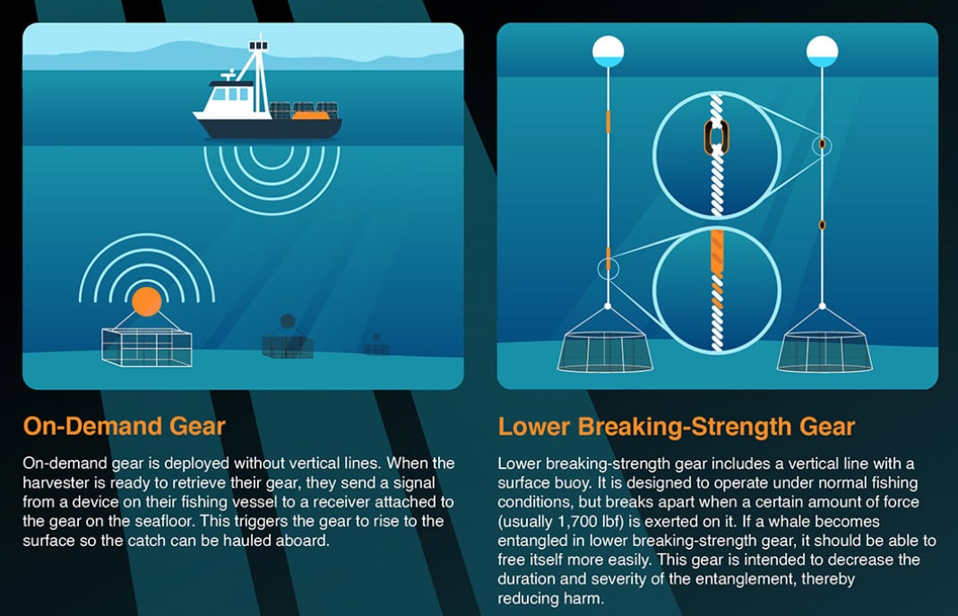An info graphic showing fishing gear.