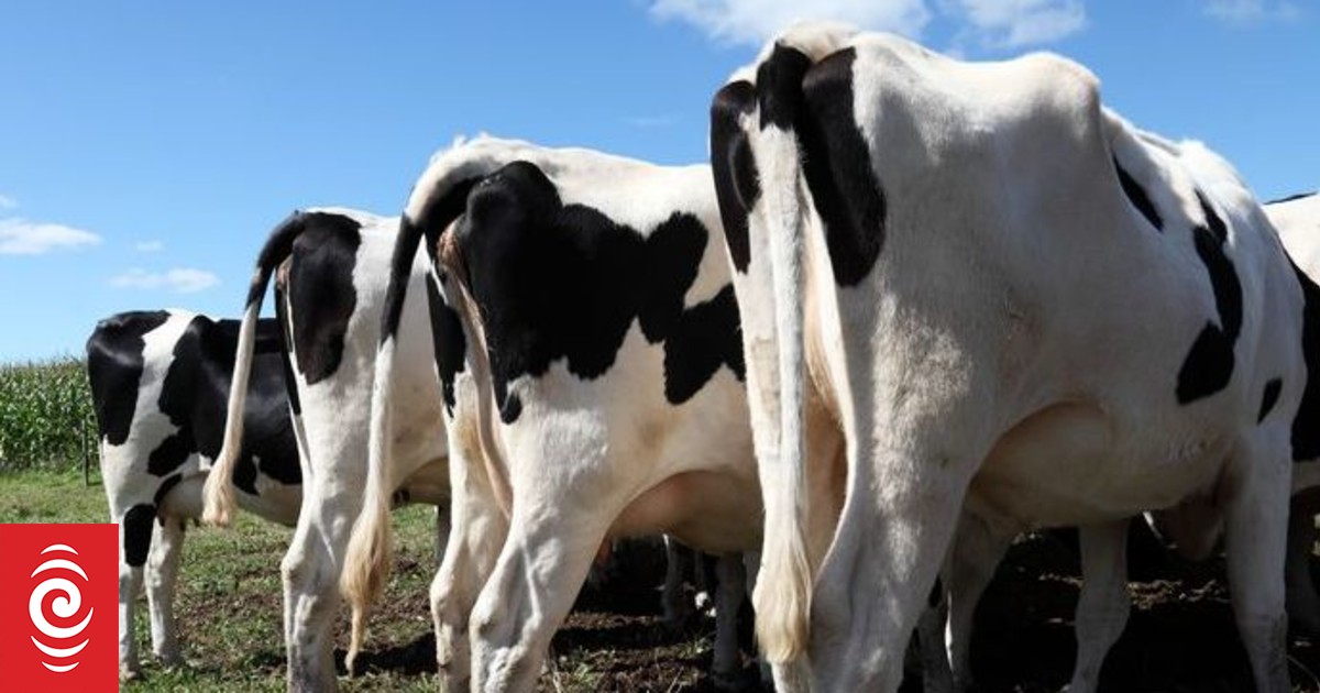 Lower pollution during Covid boosted methane: study