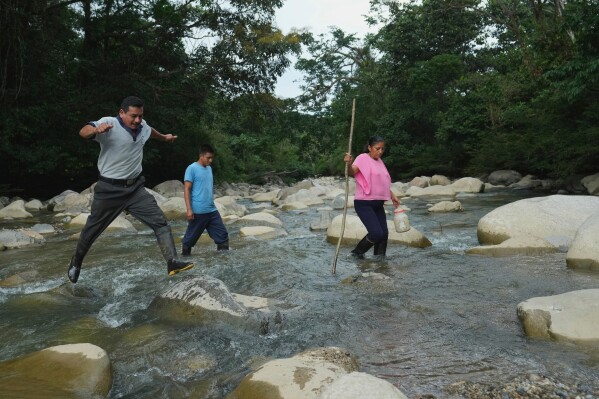 Ramon Pucha, his son Jhoel, and his wife Marlene cross the Alto Ila River during an expedition to search for native seeds to grow on their farm, where they preserve species and share seedlings with neighboring communities in an effort to protect biodiversity, in Alto Ila, in Ecuador's Amazon region, Tuesday, Feb. 3, 2026. (AP Photo/Dolores Ochoa)
