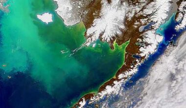 Scientists collect biological samples from South Africa’s Walker Bay as part of the BioSCape campaign. The information from the samples will help to quantify the biodiversity of the bay.