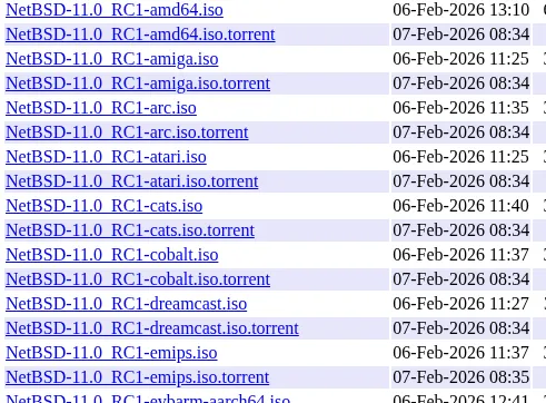 NetBSD 11.0-rc1 ISOs