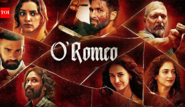 Court rules in favour of Shahid Kapoor’s ‘O Romeo’, declines Hussain Ustara's daughter's plea to stall the film's release | Hindi Movie News