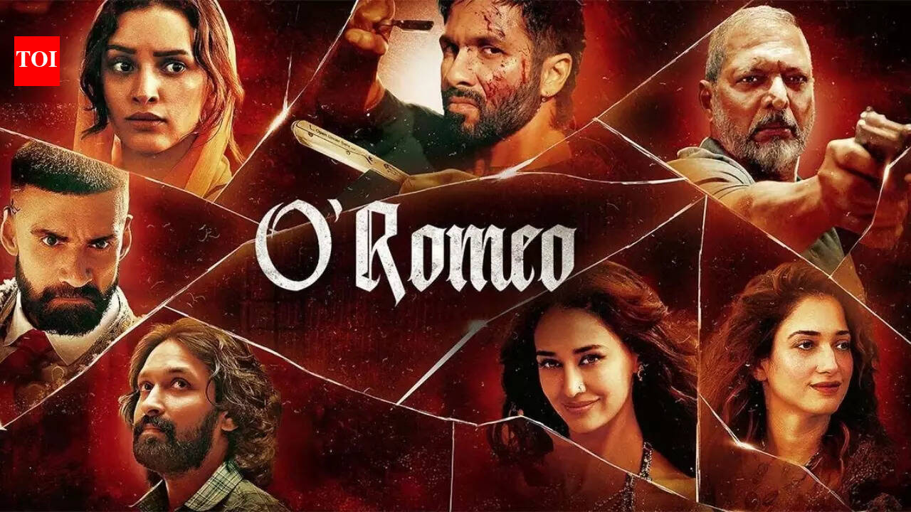 Court rules in favour of Shahid Kapoor’s ‘O Romeo’, declines Hussain Ustara's daughter's plea to stall the film's release | Hindi Movie News