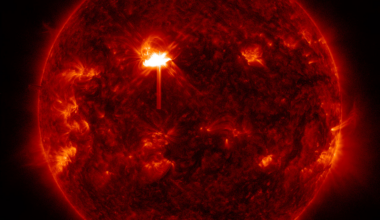 Strong Flare Erupts from Sun
