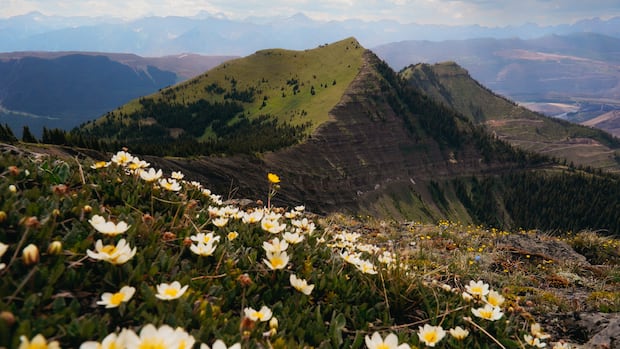 Proposed Elk Valley coal mine expansion faces scrutiny as water quality concerns continue