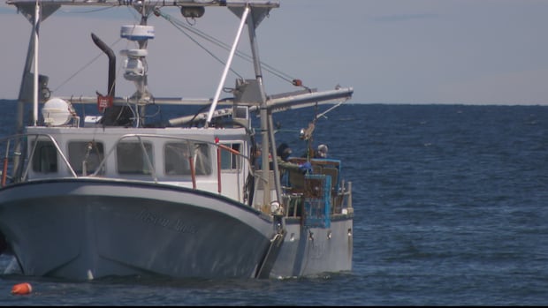 DFO to install trackers on fishing equipment to better monitor ocean conditions