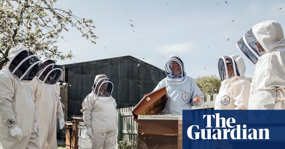 Office buzz: UK employers turn to beehives to boost workplace wellbeing | Bees