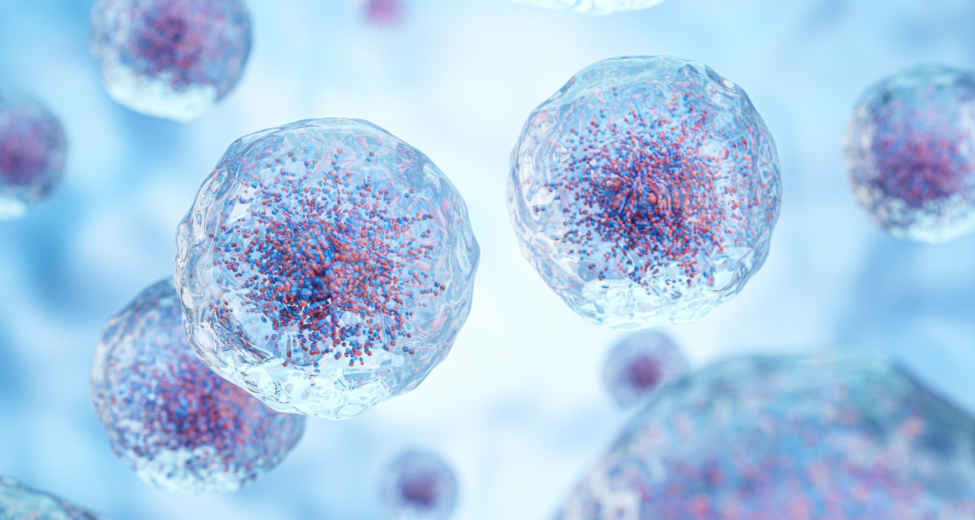 Pirtobrutinib Improves Progression-Free Survival vs Bendamustine/Rituximab in Front-Line CLL/SLL