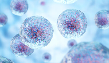 Pirtobrutinib Improves Progression-Free Survival vs Bendamustine/Rituximab in Front-Line CLL/SLL