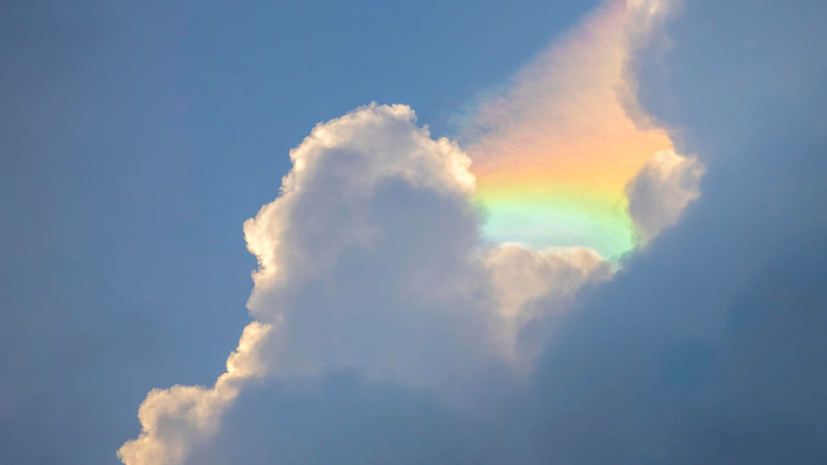 The latest Linux kernel release closes out the 6.x era - and it's a gift to cloud admins