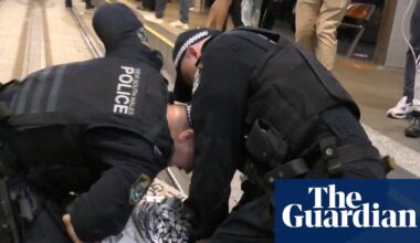 Police use of violence ‘disturbing’ and ‘disappointing’ at Sydney rally against Israeli president, experts say | Sydney