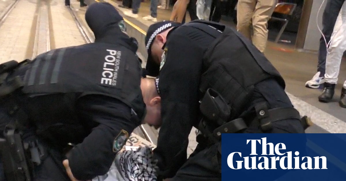 Police use of violence ‘disturbing’ and ‘disappointing’ at Sydney rally against Israeli president, experts say | Sydney