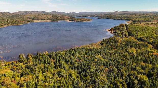 Saint John Water dredging lakes to avoid water shortage after exceptionally dry summer