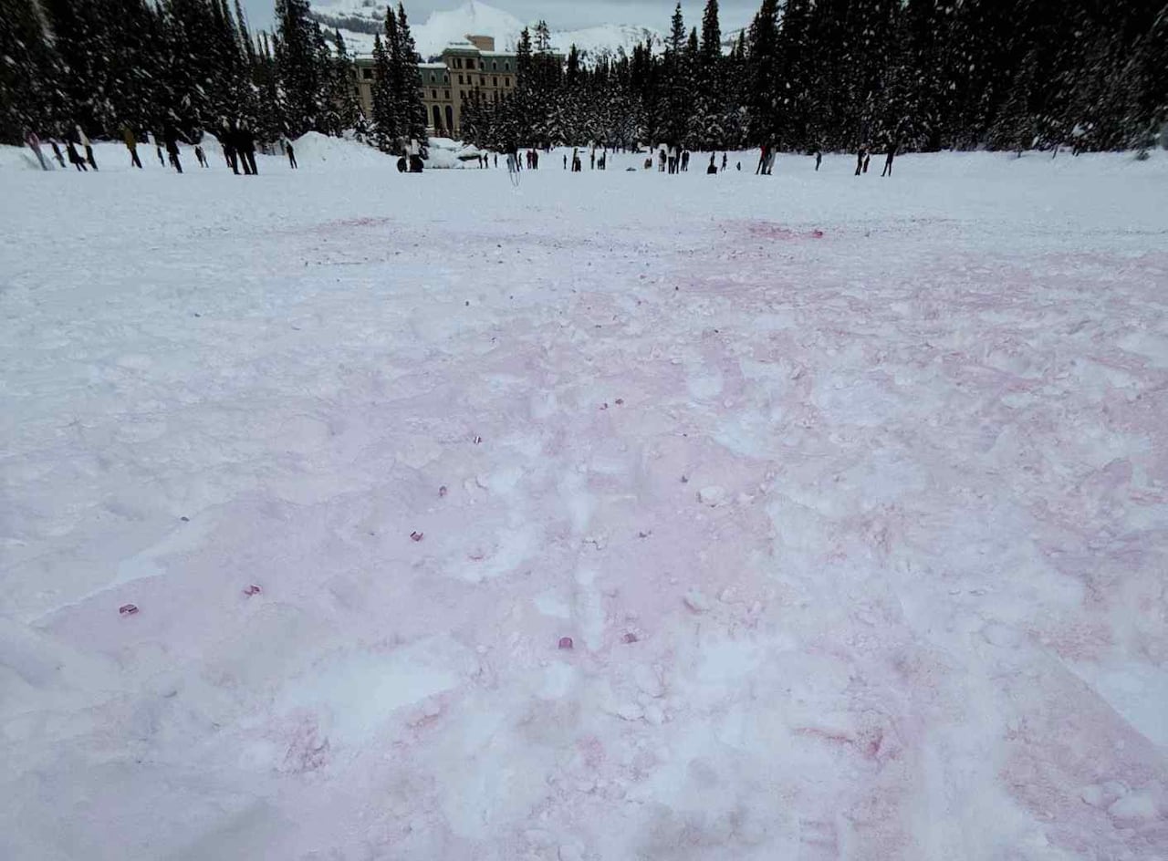 Snow stained pink.