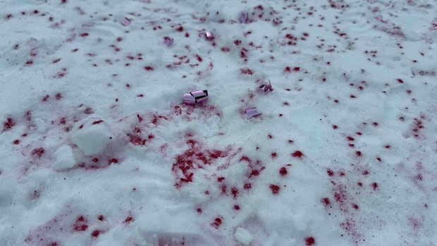Parks Canada investigating after glitter, streamers left on frozen Lake Louise
