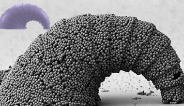 Hybrid nanofabrication builds 3D nanostructures from almost any material