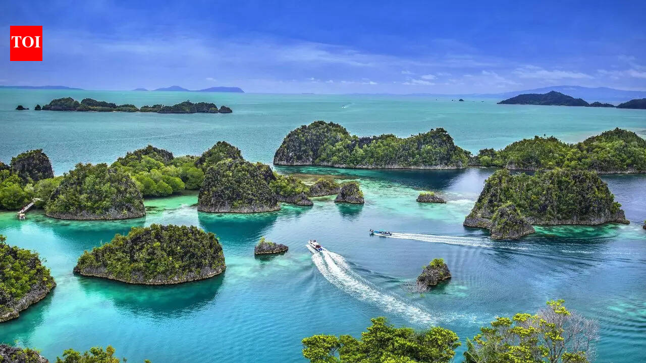 7 islands ruled by animals: From pigs and cats to monkeys and deadly snakes |