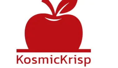 KosmicKrisp logo