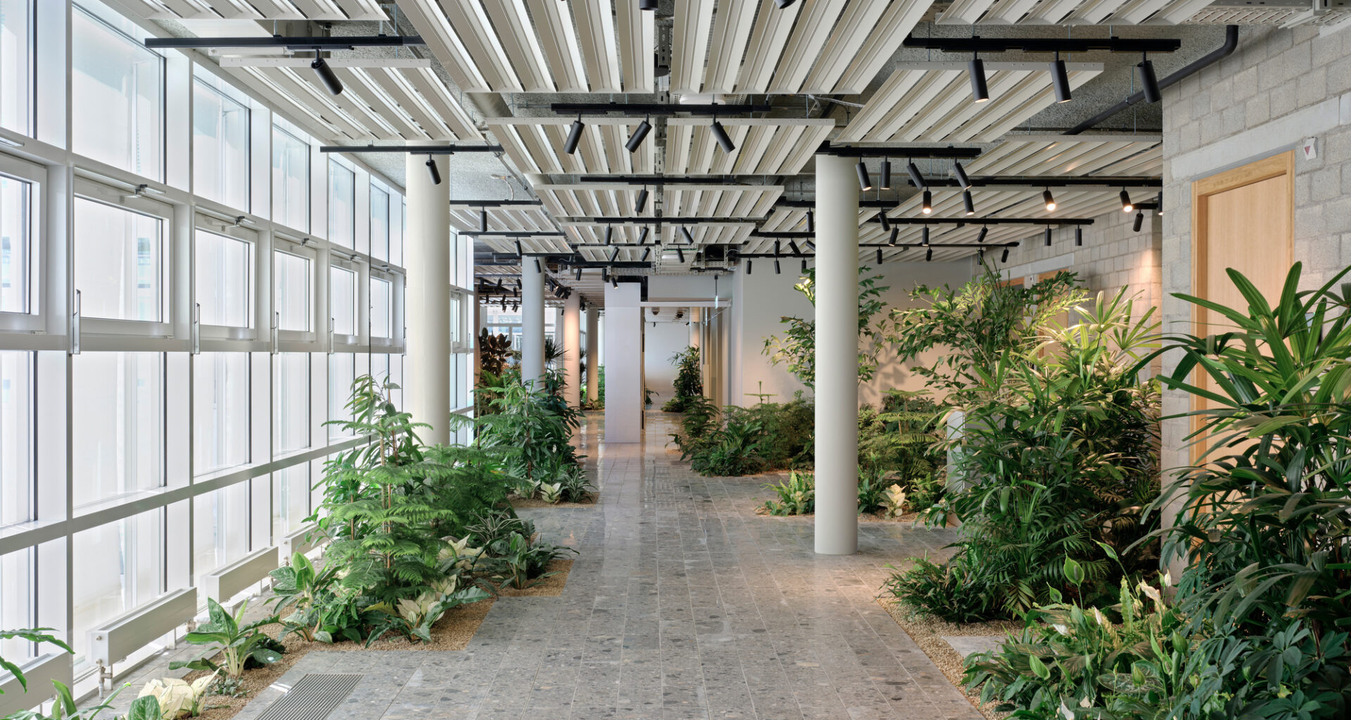 The Future Office - Holcim HQ / Beyond Space + Fritschi Beis Architektur