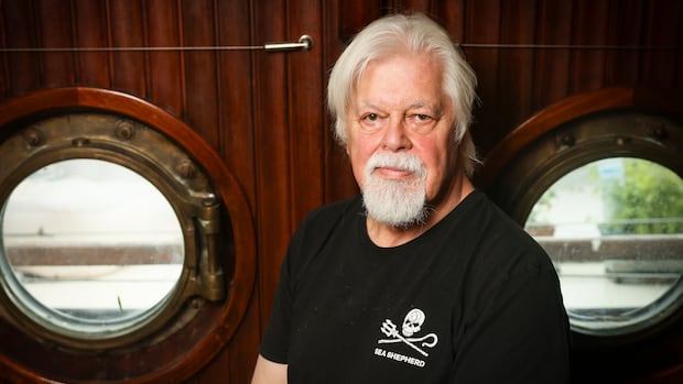 Anti-whaling campaigner Paul Watson slams Nova Scotia's Whale Sanctuary Project