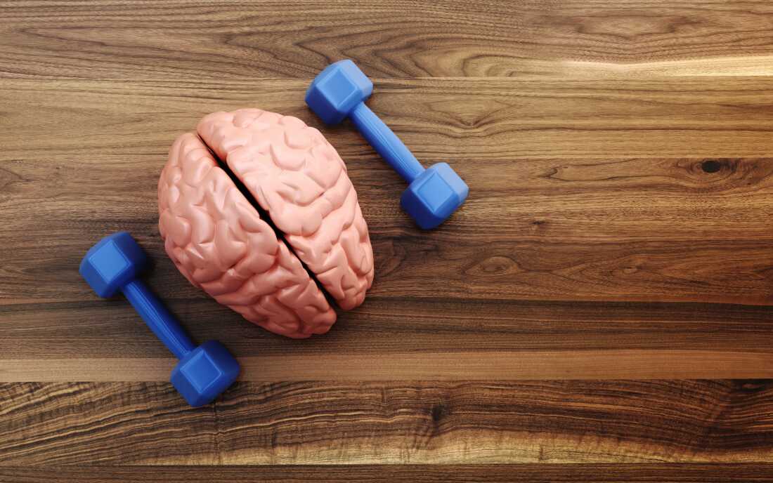 This photo, taken from above, looks down at a wooden table, on which is lying a model of a pink human brain and a small blue dumbbell on each side of it.