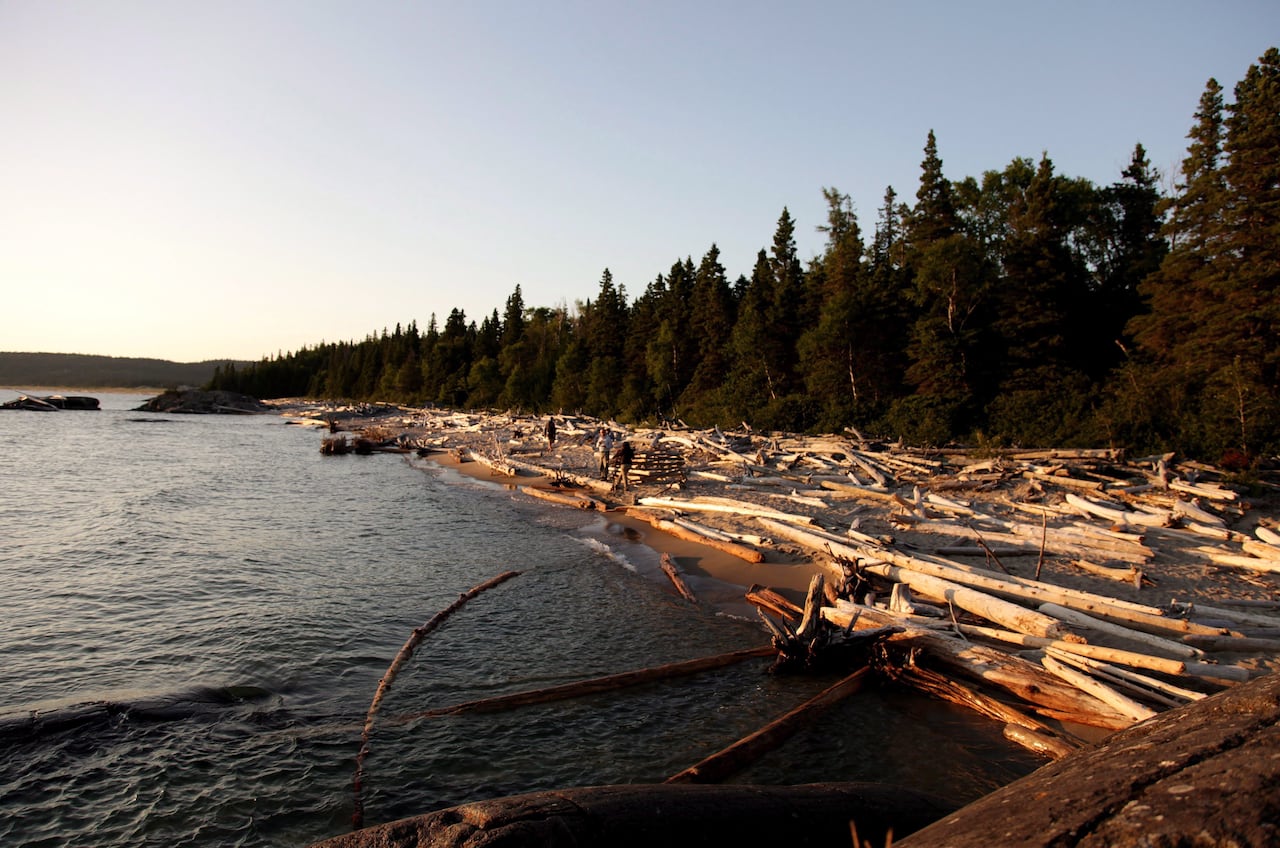 A beach lined with driftwood at sunset.