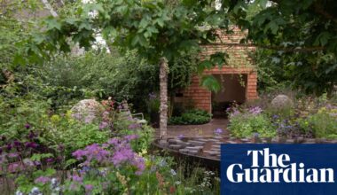 Chelsea flower show seeks new charity sponsors after mystery donors end support | Chelsea flower show