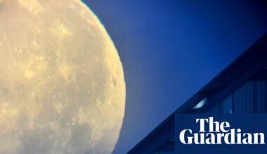 ‘It brings the moon down to Earth’: Mimi Mollica’s best phone picture | Photography